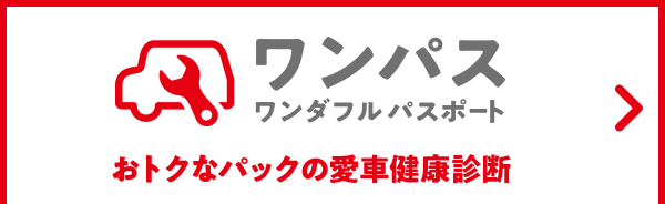 ワンパス ワンダフル パスポート